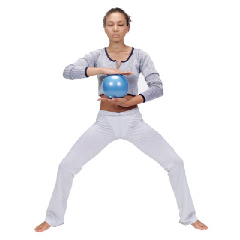 Gymnic OverKi Ball Exercise Ball Herculife Malaysia